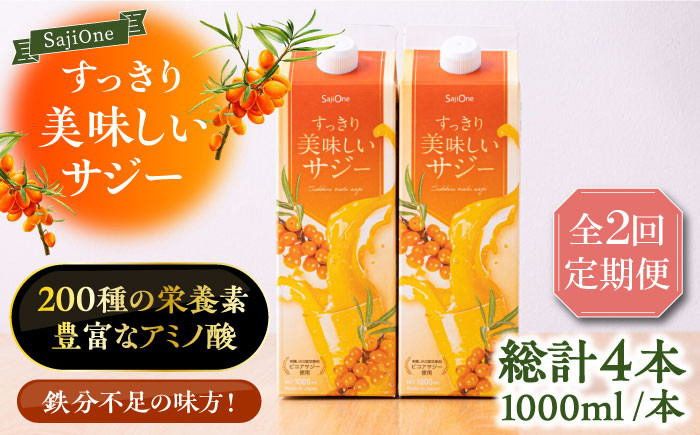 
                  【全2回定期便】美味しいサジーが毎月届く！すっきり美味しいサジー 1000ml×2本《豊前市》【ハウスボトラーズ】[VAX035] サジージュース 飲料 ドリンク サジー 健康 美容 ビタミンC 鉄分 ジュース スーパーフルーツ さじー 紙パック 飲みやすい
                