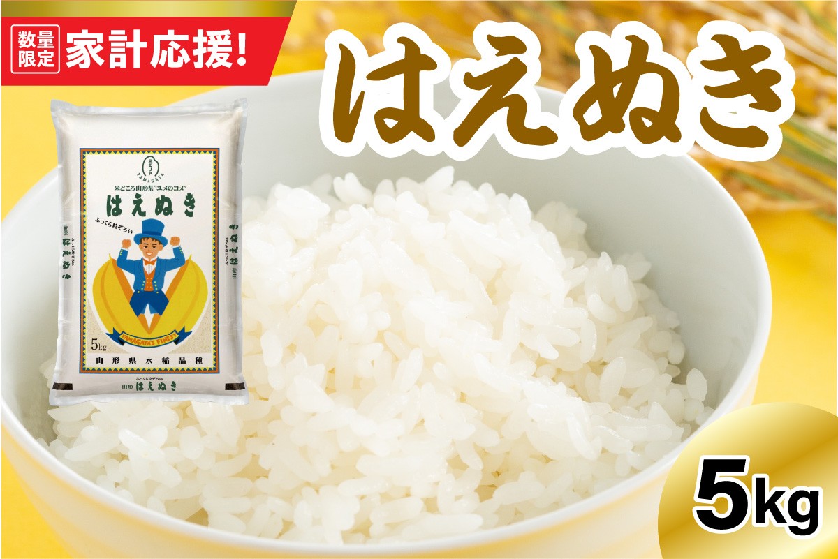 
                  【令和7年産】はえぬき 5kg 〔精米〕※４月発送分 家計応援 2025年産 白米 米 お米 おにぎり 弁当 粒立ち 甘み 厳選 山形県 米沢市
                