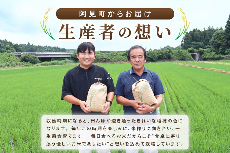 米 ミルキークイーン 精米 5kg 令和8年産 茨城県産 お米 こめ コメ ごはん 白米 みるきーくいーん 茨城県産米 単一米 単一原料米 送料無料 国産 数量限定（85-R8i253） 単品