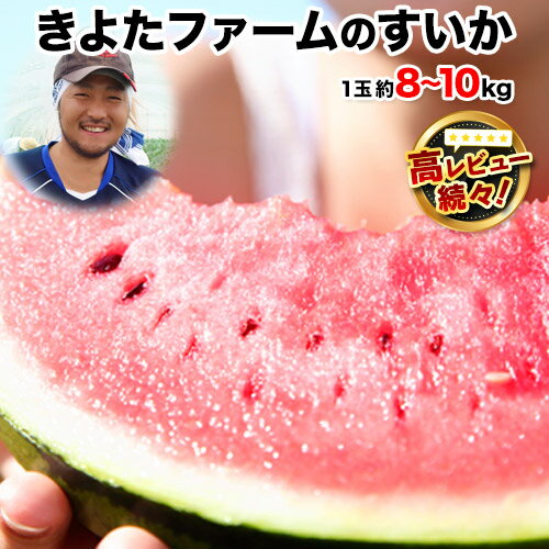 【ふるさと納税】【先行予約】『きよたファーム』のすいか 1玉約8〜10kg 熊本県玉名郡玉東町『きよたファーム』すいか フルーツ 果物 熊本県産《2026年5月下旬-6月下旬頃出荷》