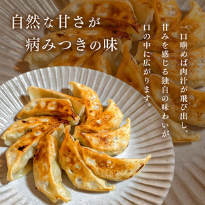 【定期便 6回】自家製 冷凍餃子 5人前 25個｜行列名店 大ちゃんラーメン 焼き 餃子｜ジューシー 肉汁 ほんのり甘い ぎょうざ ギョーザ 惣菜 おつまみ 冷凍食品 おかず｜千葉県 君津市
