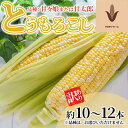 【ふるさと納税】訳あり とうもろこし 品種： 甘々娘 または 甘太郎 家庭用『訳ありテルもろこし』約10本～14本（6月中旬頃より順次発送）先端カット済【配送不可：離島】　【 野菜 とうもろこし 訳あり 】　お届け：2024年6月中旬～2024年7月末予定