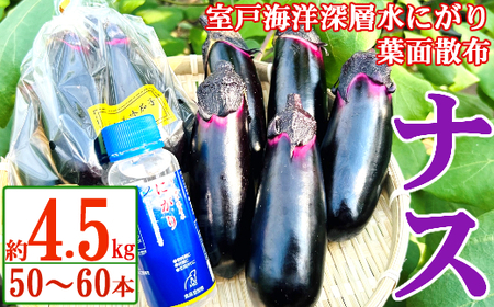 農家直送　土佐の美味茄子の新鮮ナス　４．５kg　（室戸海洋深層水にがり使用） 野菜 なす ナス 常温 小袋 国産 夏野菜 茄子 小分け 旬 15000円 高知 bn006