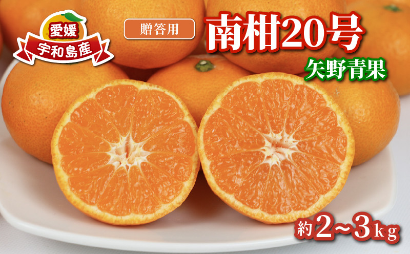 
みかん 贈答用 南柑20号 温州みかん 2 ~ 3kg 矢野青果 フルーツ 柑橘 蜜柑 mikan 温州 果物 くだもの みかん 人気のみかん 美味しいみかん 濃厚みかん 温州蜜柑 贈答品 贈答 ギフト プレゼント 産地直送 数量限定 先行予約 国産 愛媛 宇和島 B012-171006
