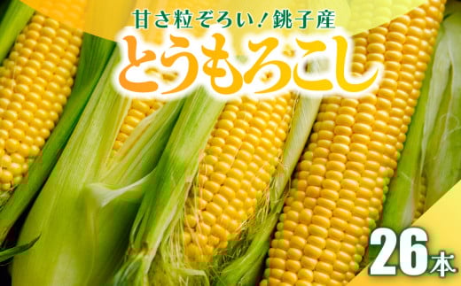 【先行予約】 とうもろこし 26本 数量限定 期間限定 産地直送 鮮度抜群 大容量 旬の野菜 旬の味覚 夏の風物詩 甘い トウモロコシ イエローコーン スイートコーン 夏野菜 バターコーン コーン スープ 特産品 とうきび プレゼント 贈り物 ギフト 贈答 お取り寄せ グルメ お取り寄せグルメ 発送時期 2026年7月中旬～(なくなり次第終了)  ふるさと納税 送料無料 千葉県 銚子市 小野商店