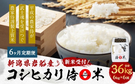 【新米受付・令和8年産米】 【定期便 6ヶ月】新潟県村上市岩船産コシヒカリ  精米6kg（2kg×3個セット）×6ヶ月 1050012N