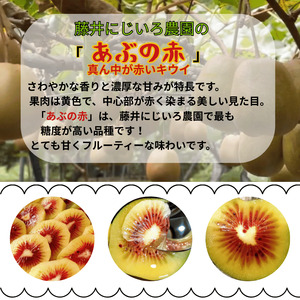 【先行予約】赤いキウイ あぶの赤 約490g 山口県阿武町産 希少品種【2026年10月～2027年1月発送】