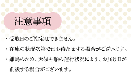 【全12回定期便】【一年中美味しい！こだわりがつまった島のアイス！】手づくり アイス 3種 セット 計12個【マルマス】[RAX019]