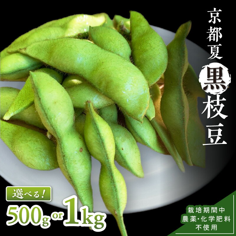【ふるさと納税】【先行予約／数量限定40】京都夏黒枝豆さや 500g（250g×2パック）1kg（250g×4パック）（2026年7月中旬～発送） 野菜 豆類 黒豆 黒枝豆 晩酌 おつまみ おかず 京都 ふるさと納税 枝豆
