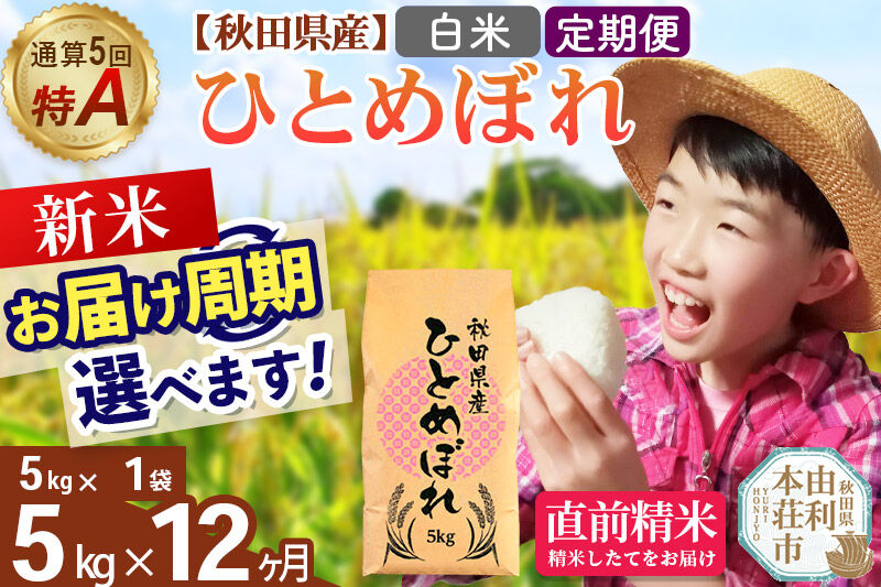 《令和8年産 新米受付》《定期便12ヶ月》【白米】通算5回特A 秋田県産ひとめぼれ 5kg(5kg×1袋)×12回  お届け周期調整 隔月に調整OK お米 米 こめ 藤岡農産 [米 白米 特A 精米 秋田県 東北 お米 ひとめぼれ 小袋 小分け 直前精米 おいしい米 おすすめ]
