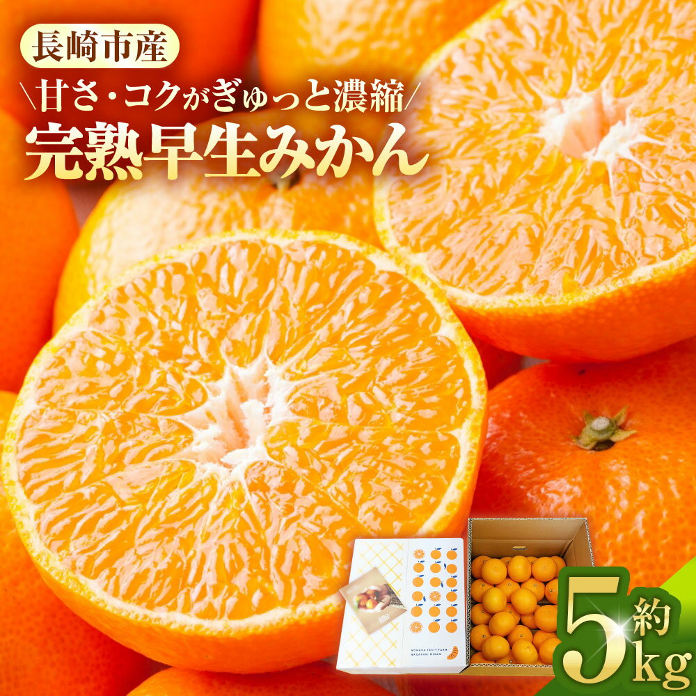 【ふるさと納税】先行予約 完熟早生みかん 約5kg箱 | 期間限定 果物 くだもの フルーツ みかん ミカン 柑橘 完熟 5キロ 長崎 オンライン決済限定 長崎県 長崎市 野中果樹園 アフター保証 【2025年11月下旬～12月下旬迄発送予定】