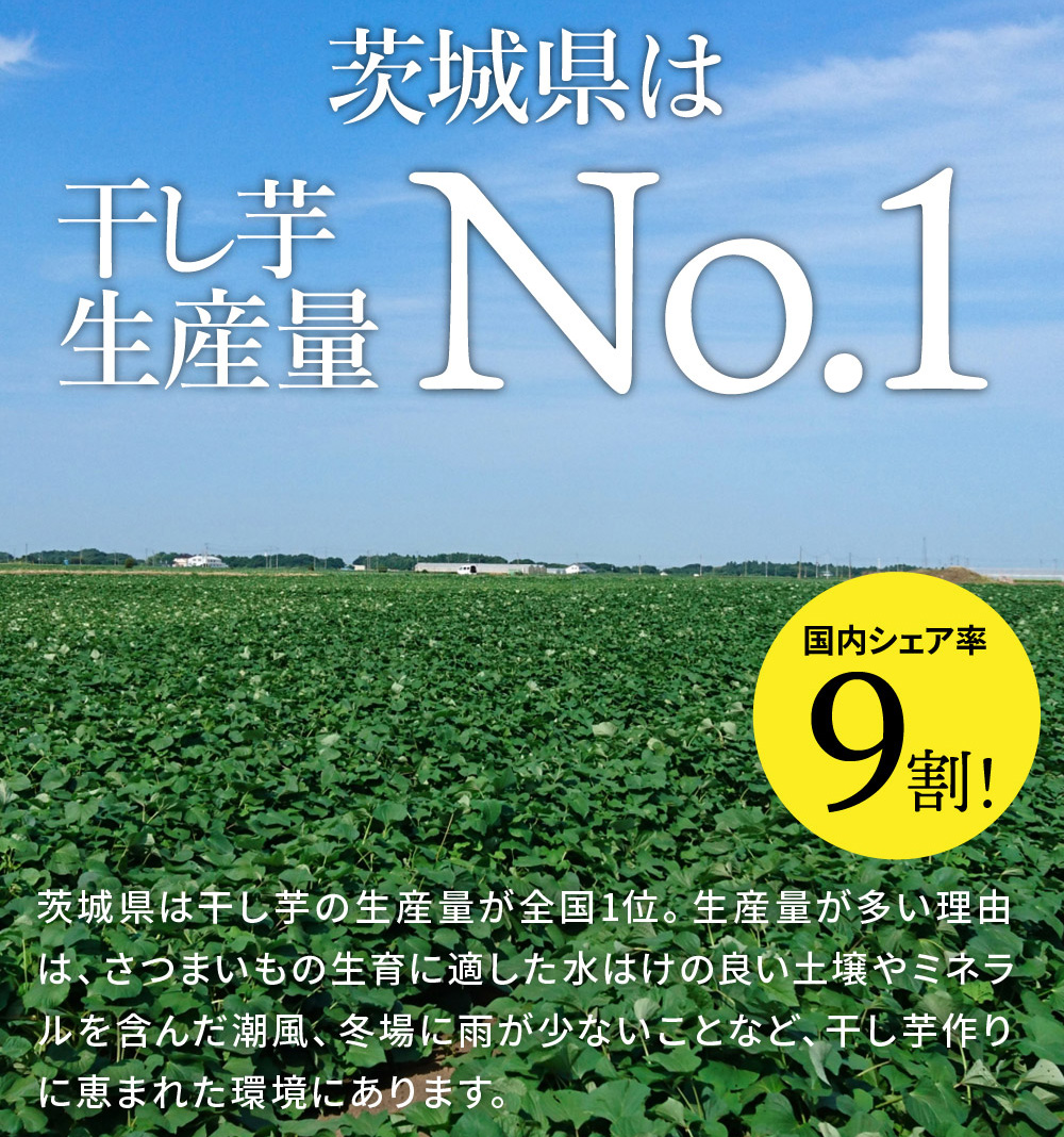 【定期便 12ヶ月】平干し 食べ比べセット（100g×4袋）