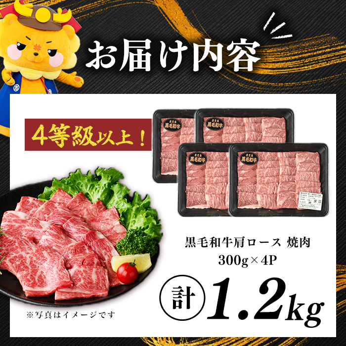 鹿児島県産黒毛和牛肩ロース焼肉用 (計1.2kg・300g×4P) 肉 牛肉 4等級 冷凍 焼肉 焼肉用 焼き肉 炒め物 黒毛和牛 鹿児島県産 b5-199