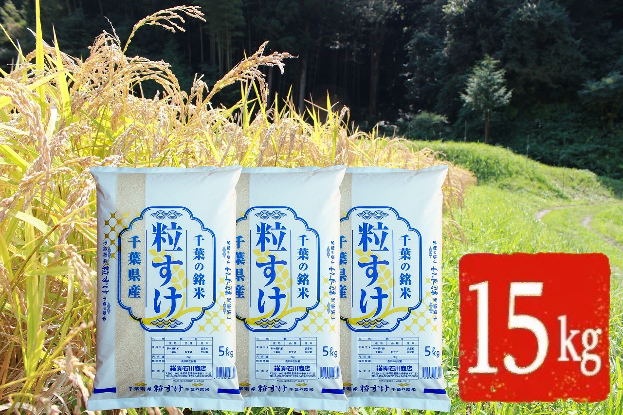 
                  令和7年産 特A評価 粒すけ 精米 15kg |  千葉ブランド米 新品種 大粒 しっかり食感 粘り 甘み ご飯 おにぎり お弁当 朝食｜千葉県 君津市
                