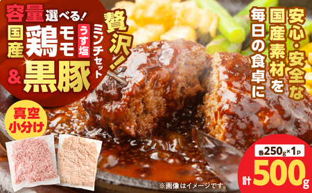 国産 鶏モモミンチ ＜ うす塩 ＞＋ 黒豚ミンチ セット 計500g K025-017_01 鶏 肉 鶏肉 とり肉 鶏モモ 鶏ももミンチ 豚 黒豚 豚ミンチ ハンバーグ 冷凍 おかず 惣菜 総菜 美味
