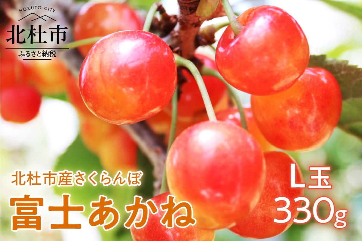 
                  【2026年発送】【富士あかね】さくらんぼ L玉（330g）　さくらんぼ フルーツ 富士あかね Ｌ玉 330g 新品種 甘みが強い 自慢のさくらんぼ 加藤さくらんぼ農園
                
