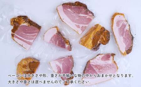 アグー豚「パイとん」ベーコン 約500g&オリオンゼロライフ 350ml×24本