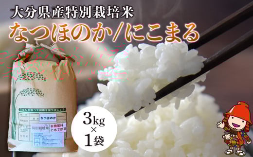 令和7年産 特別栽培米 なつほのか にこまる 3kg×1袋 | 大分県中津市三光産 栽培期間中 農薬不使用 精米 玄米 選べる 国産 お米 米 ご飯 白米 農家直送 宗像農園 大分県産 九州産 大分県 中津市