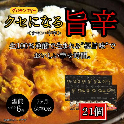 【ふるさと納税】発酵スパイスカレー21個 ★生100%の発酵の力で生まれる「極旨味」でクセになる旨辛 グルテンフリー【配送不可地域：離島】【1586919】