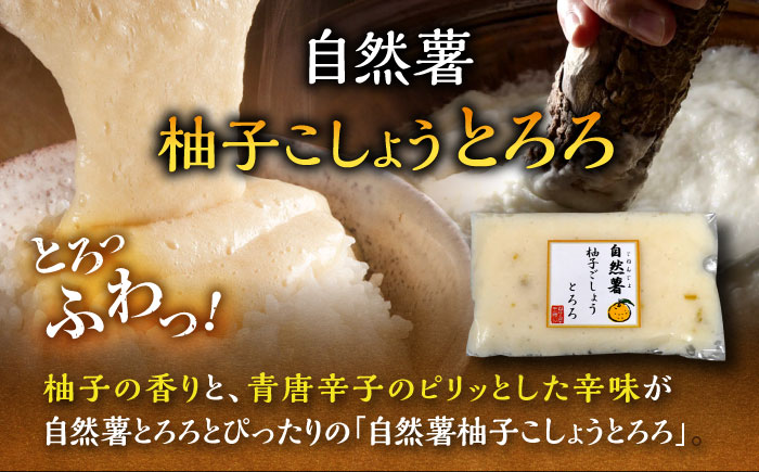 【11月上旬から発送】はかた地どり美人水炊き2～3人前×柚子こしょうとろろ（40g×2）セット ＜MEATPLUS×自然薯王国＞那珂川市 [GBW133]