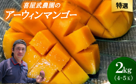 【先行受付・2026年6月から順次発送・特選】喜屋武農園のアーウィンマンゴー2kg(4～5玉)【配送不可地域：離島】【1694607】