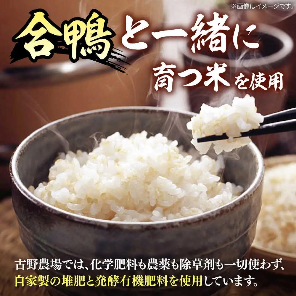 合鴨家族 古野農場 純米酢 300ml×12本セット 合鴨家族 古野農場/桂川町 [ADAL015] 酢 純米酢 米 米酢 