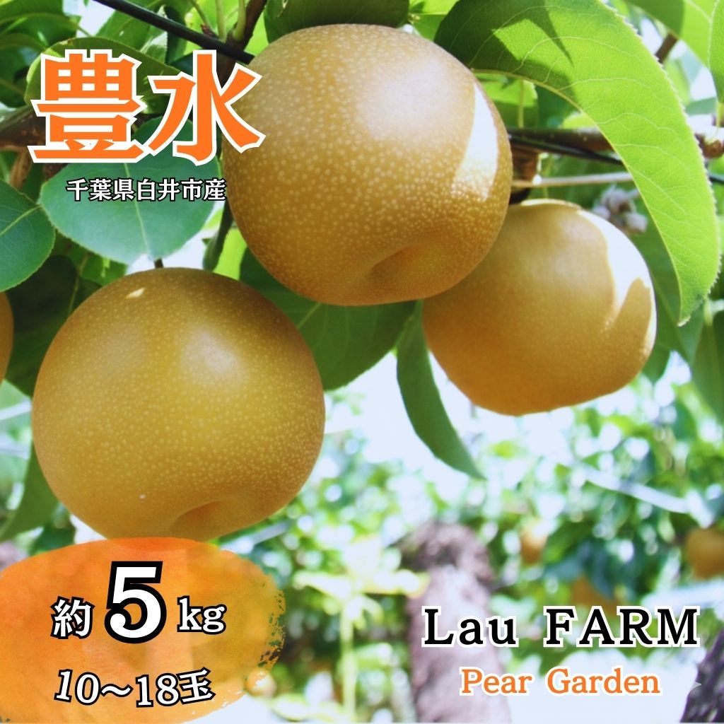 【ふるさと納税】【2026年秋収穫分】豊水 先行予約 梨 5kg 10～18玉 10箱限定 農家直送 採りたて もぎたて 新鮮 果汁たっぷり 甘い みずみずしい 美味しい おすすめ LauFARM梨園