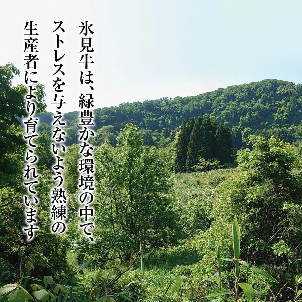 A4ランク以上！氷見牛のももを使ったサイコロステーキ3470g 〈冷凍〉| 黒毛和牛 サイコロステーキ