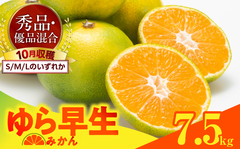 MK1055_【2025年先行予約】ゆら早生 みかん 箱込 7.5kg ( 内容量 6.8kg ) S M Lサイズのいずれか 秀品 優品 混合 有田みかん 和歌山県産