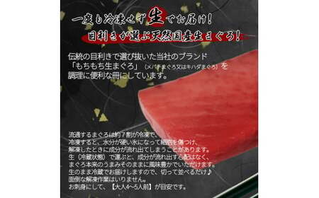 【3回定期便】贅沢定期便A まぐろ うなぎ 和牛【tkb386】