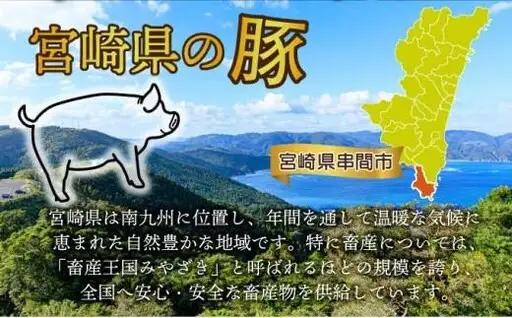 《2026年7月発送》豚肉切り落とし 250g×12パック 合計3kg_K033-024-2607