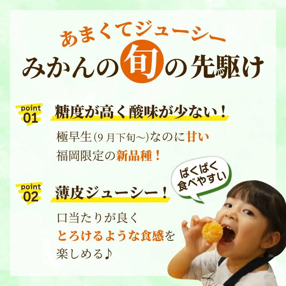 【先行予約】福岡 早みかん 約2kg BGAG013 果物 温州みかん
