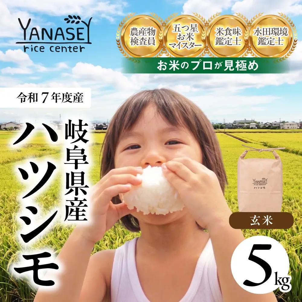 ≪令和7年度産≫ プロが厳選 玄米 ハツシモ 5kg｜玄米