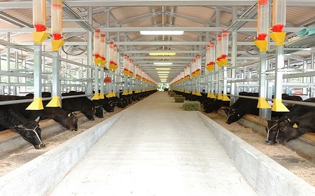 松阪牛すね(カレー・シチュー用)【1-163】