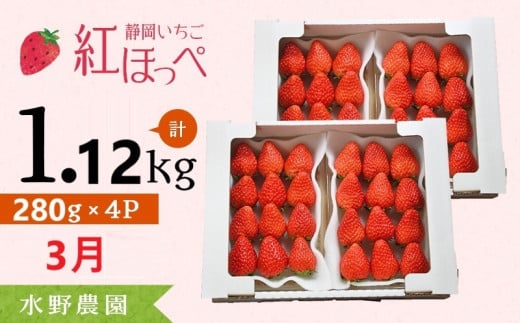 ６４３５　3月発送 掛川産 完熟いちご 紅ほっぺ 280g×４P 1.12ｋｇ (8～15粒入×4P) R7年3月から順次発送  水野農園  