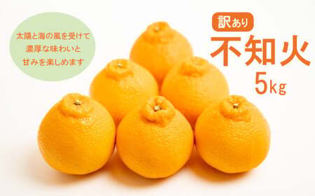 訳あり不知火 【デコポンと同品種】5kg 愛南フルーツ 不知火