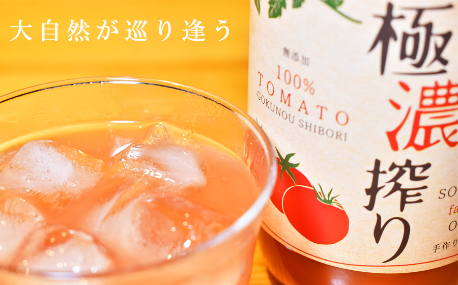 トマト焼酎(大)セット /// 焼酎 米焼酎 酎ハイ チューハイ トマ酎 トマトジュース ストレート 無添加