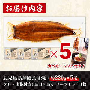 i1078-C ＼特大サイズ／鹿児島県産 うなぎ蒲焼 5尾（約220g×5・計約1100g） たれ 山椒付きうなぎ 鰻 ウナギ 特大 特大サイズ 約220g 蒲焼き 国産 鹿児島県産 焼きたて 生産量