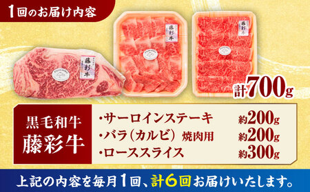 【6回定期便】くまもと黒毛和牛「藤彩牛」サーロインステーキと2種の食べ比べ  3903【有限会社 スイートサプライなかぞの】[ZDT140]