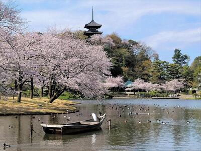 国指定名勝三溪園　招待券（２枚）