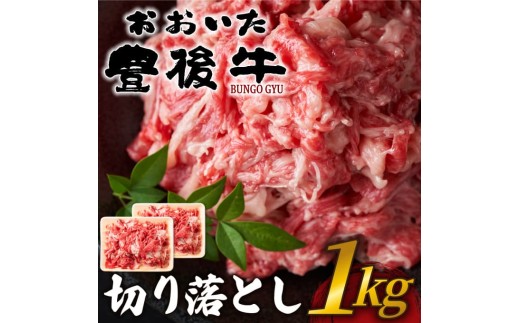 おおいた豊後牛切り落とし 1kg(500g×2p） | 和牛 豊後牛 国産牛 ステーキ肉 すき焼き しゃぶしゃぶ 大分県産 九州産 津久見市 国産