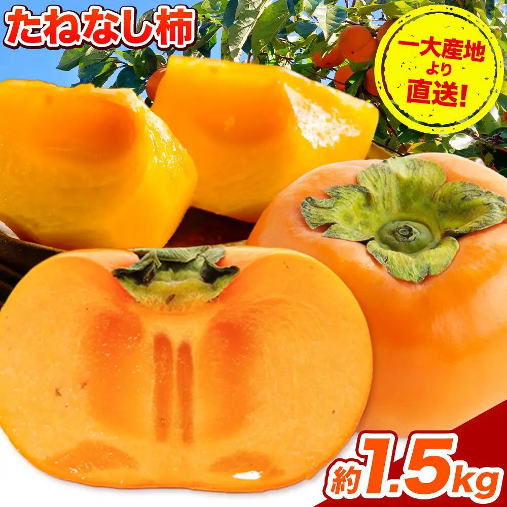 柿 たねなし柿 約1.5kg