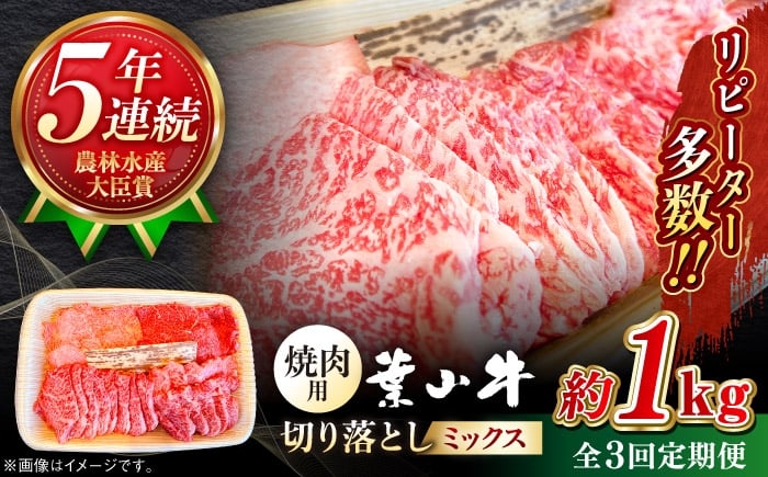 
            【全3回定期便】【葉山牛】1kg　焼肉用ミックス（ロース、モモ、カルビ等 4種類 ) ／ 牛肉 黒毛和牛 神奈川県 特産品【葉山牛ステーキレストラン 角車】 [ASBD034]
          