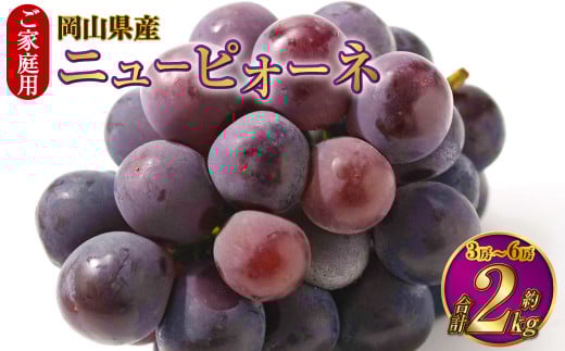 ご家庭用 岡山県産 ニューピオーネ 約2kg（3房～6房） 【2026年8月下旬～9月下旬迄発送予定】 果物 くだもの フルーツ ぶどう ブドウ 葡萄