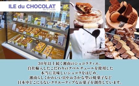 生シェルパイ 8個セット パイ バニラ チョコ 完熟 いちご プラリネ チョコレート ショコラ 生クリーム クーベルチュール シャラントポワトー バター 創作 湘南 贈り物 ギフト 箱詰め 送料無料 