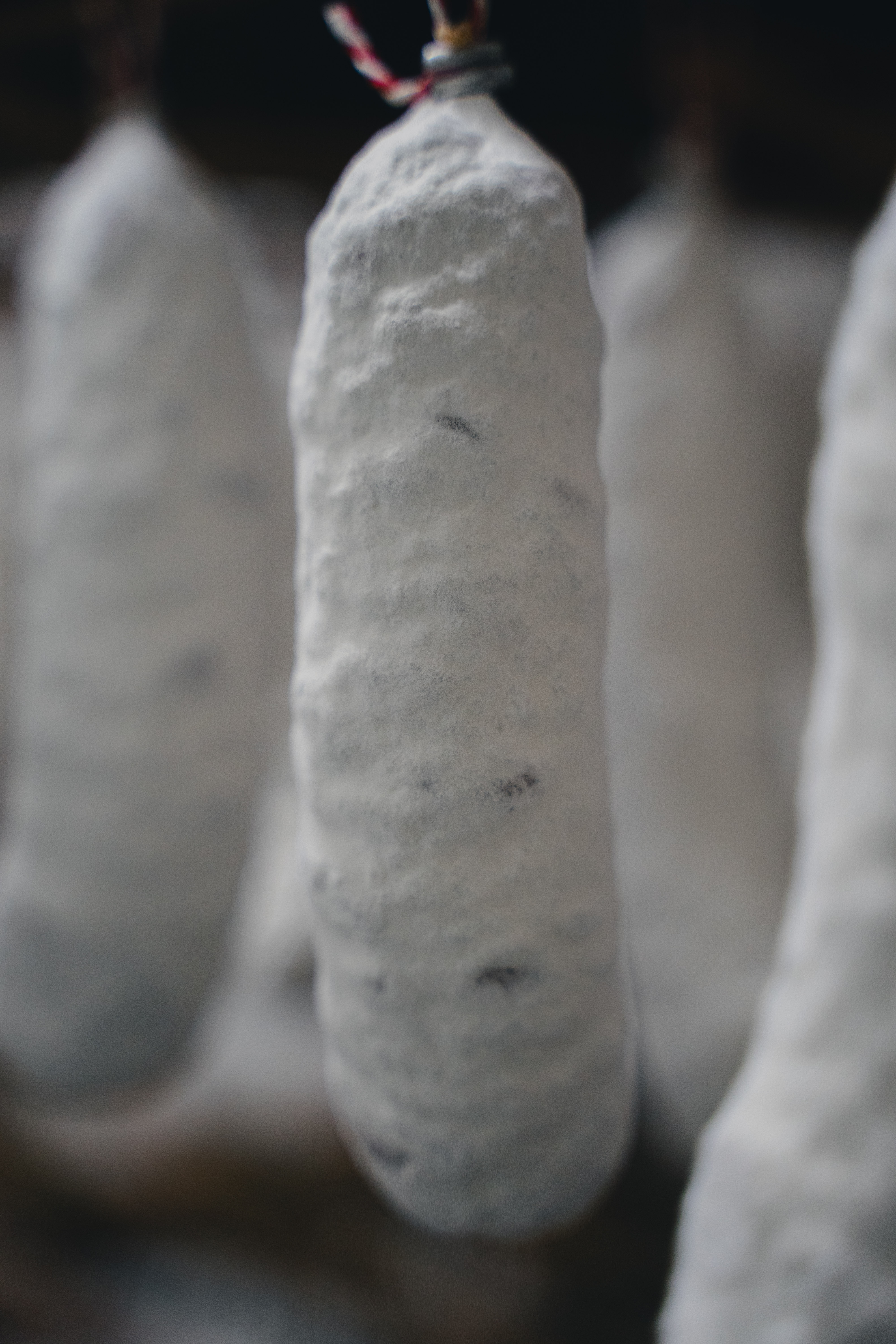 【おつまみソシソンセット】白カビドライソーセージ2本 ソシソンショコラ セット おつまみ 盛り合わせ お取り寄せ ギフト デザート 北海道 せたな町 ふるさと納税