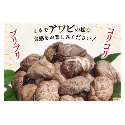 ふるさと納税 美郷町 宮崎県産 乾椎茸 ギフト どんこ「M-30」 150g 肉厚 岡田商店 宮崎県 [31ac0038] |  | 01