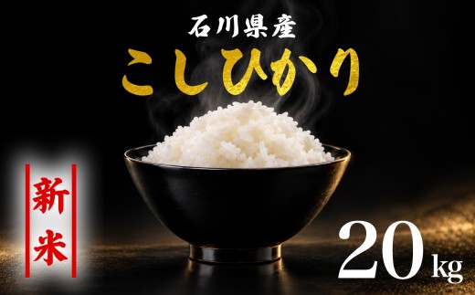 新米予約 先行予約 コシヒカリ 米 20kg お米 精米 石川県産 令和8年産 新米 20kg(5kg×4袋) 能登 こしひかり こだわり 石川県産 環境 米 お米 白米 こめ コメ おこめ 米20kg 2026年産 精米 R8 ご飯 ごはん 送料無料 数量 限定 白飯 ふるさと納税 能登 石川 羽咋 はくい 災害 復興 支援 復興支援 米20キロ コメ20kg