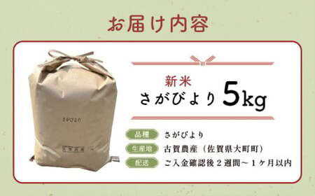  令和7年産 さがびより 5kg ／米 お米 返礼品 飯 ごはん 弁当 銘柄米 白米 県産米 佐賀県産 国産米 精米 ブランド米 おにぎり 国産 食品 人気 おすすめ ふるさと納税米  精白米 主食 