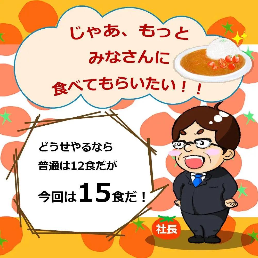 とまとたっぷりカレー15袋 | カレー レトルト DC022